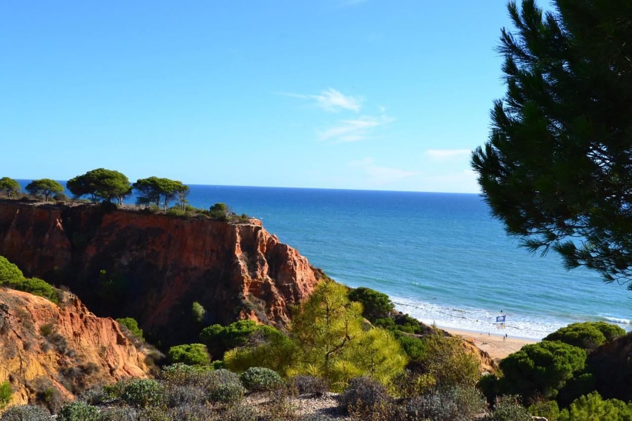 T0 Junto A Praia De Vale Centeanes / Carvoeiro لاغوا المظهر الخارجي الصورة